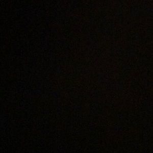 Meet your Posher, Ebony